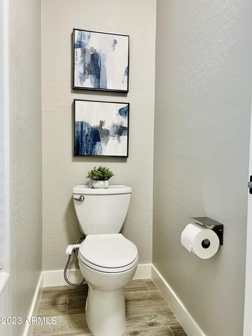 492 E RAINBOW Drive, Chandler, AZ 85249