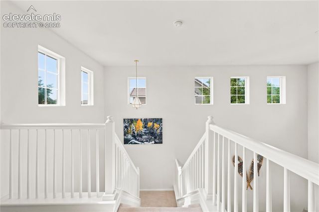 180 Ellendale Street, Castle Rock, CO 80104