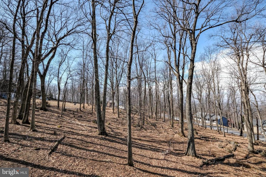 Image 53 of property listing at 59 ALPINE DR, Front Royal, VA 22630