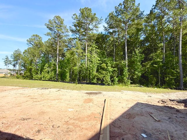 5371 Crinum Lilly, Summerville, SC 29485