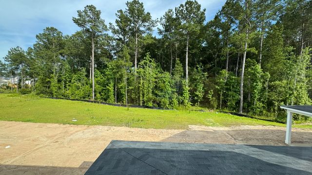 5371 Crinum Lilly, Summerville, SC 29485