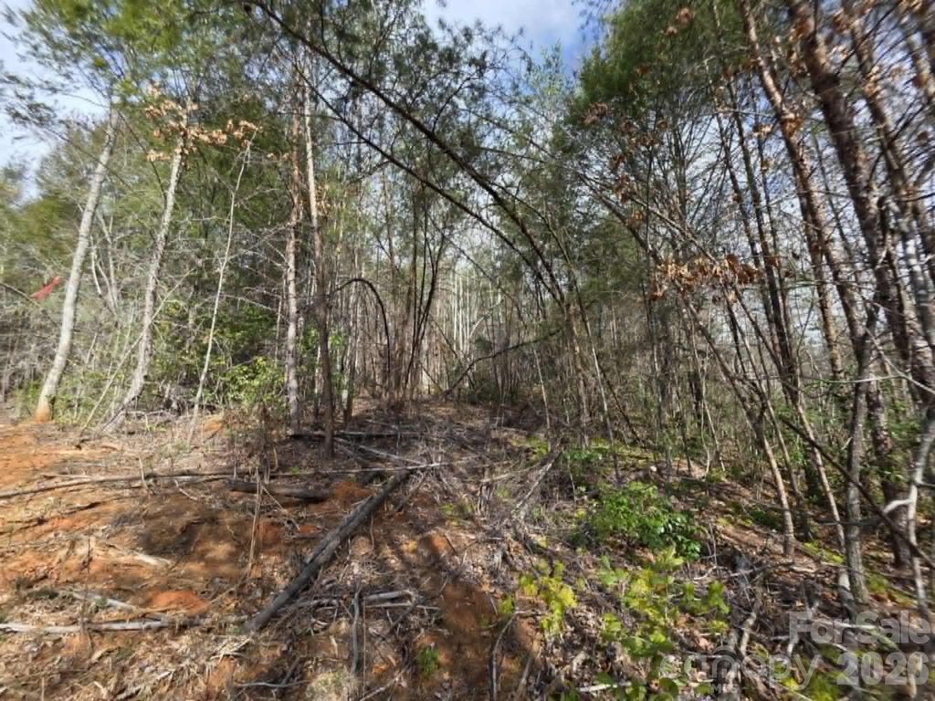 Lot 7 Kerlee Lane, Old Fort, NC 28762