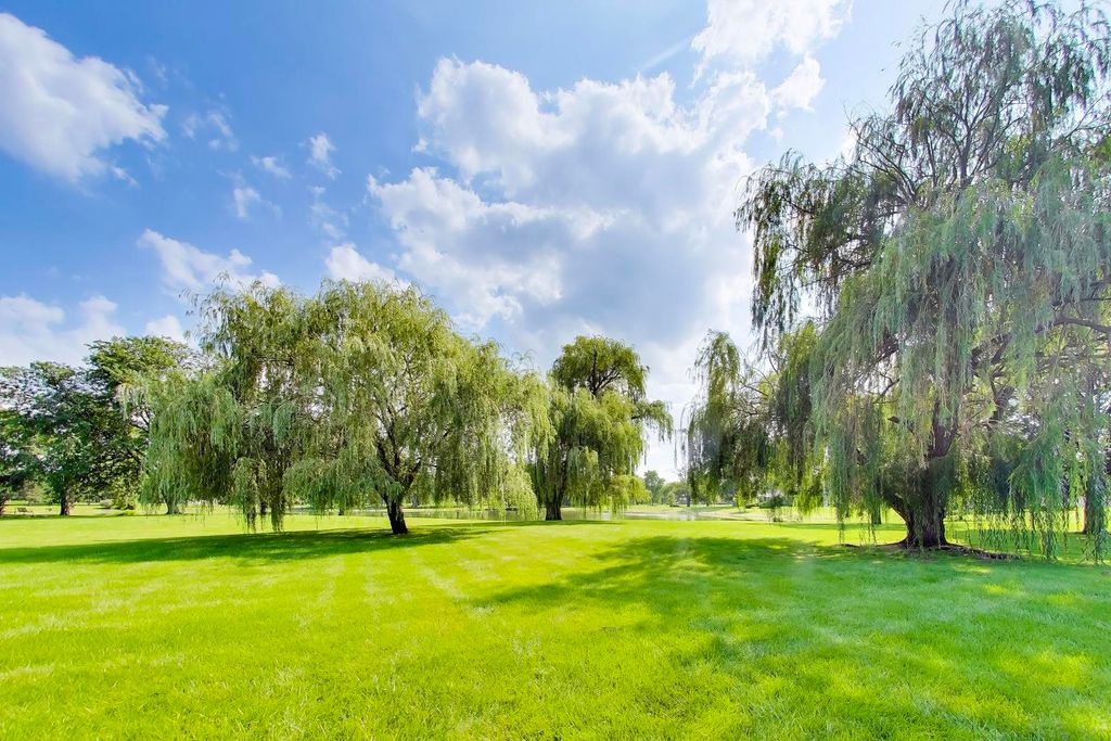 758 Moore Drive 758, Elk Grove Village, IL 60007 — photo 2