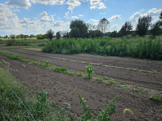 21759 Lawrence 2172, Aurora, MO 65605