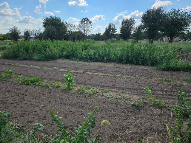 21759 Lawrence 2172, Aurora, MO 65605