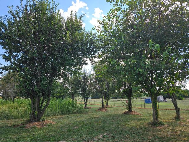 21759 Lawrence 2172, Aurora, MO 65605