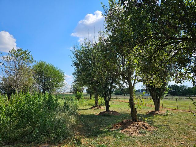 21759 Lawrence 2172, Aurora, MO 65605