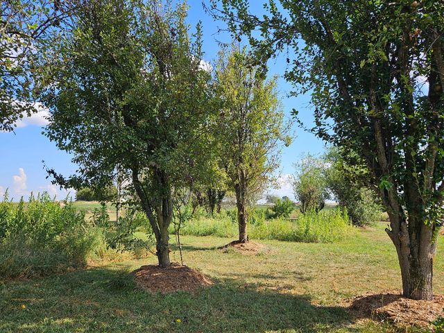 21759 Lawrence 2172, Aurora, MO 65605