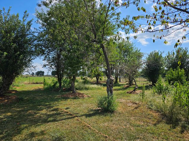 21759 Lawrence 2172, Aurora, MO 65605