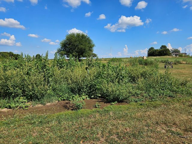 21759 Lawrence 2172, Aurora, MO 65605