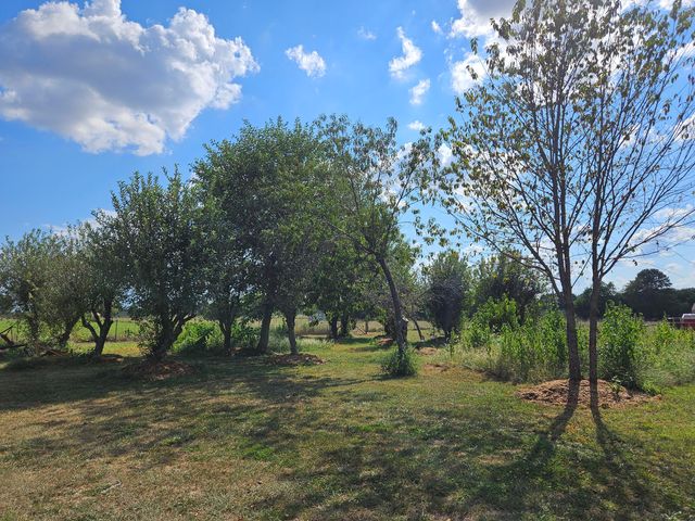 21759 Lawrence 2172, Aurora, MO 65605