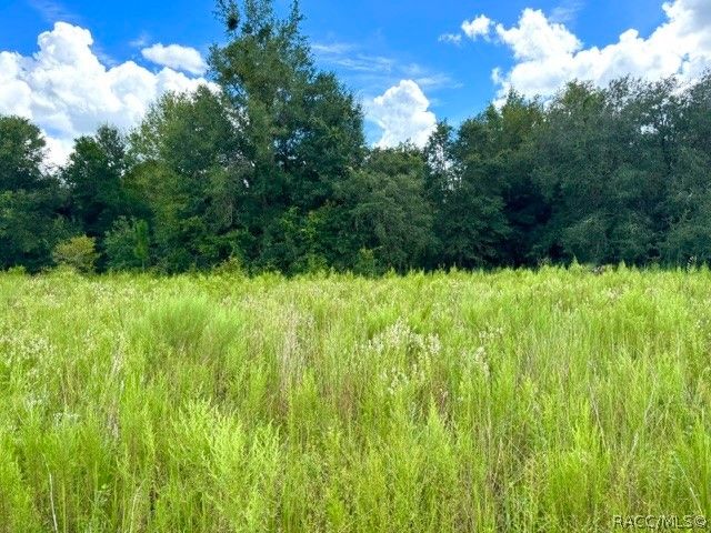 2311 Jackson Street, Inverness, FL 34453