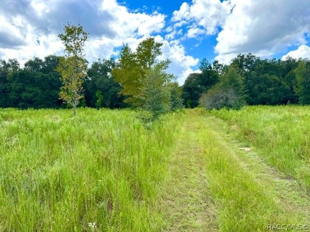 2311 Jackson Street, Inverness, FL 34453