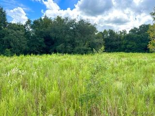 2311 Jackson Street, Inverness, FL 34453