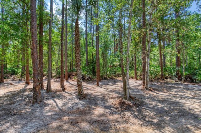 2089 GUAVA LANE, Bunnell, FL 32110