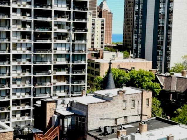 1339 N Dearborn Street 11D, Chicago, IL 60610