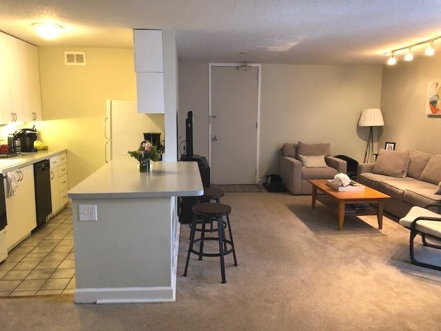 1339 N Dearborn Street 11D, Chicago, IL 60610