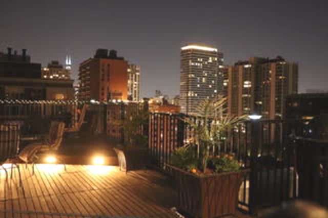 1339 N Dearborn Street 11D, Chicago, IL 60610