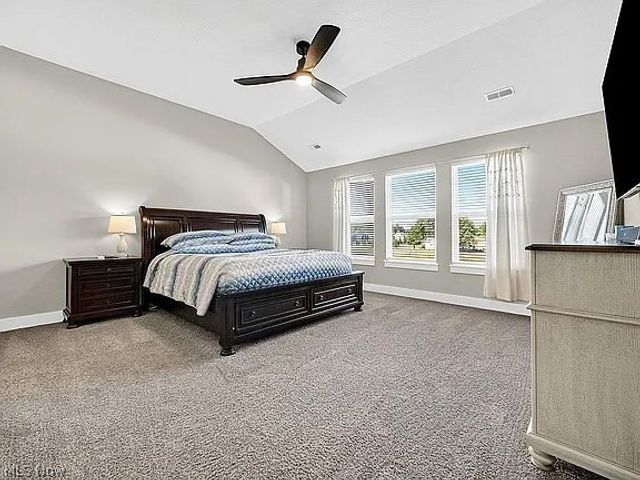 8960 Leatherleaf Drive, Columbia Station, OH 44028