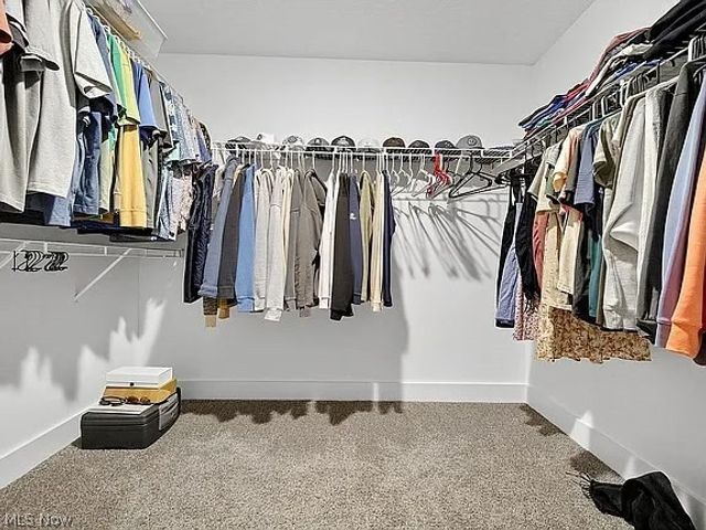 8960 Leatherleaf Drive, Columbia Station, OH 44028