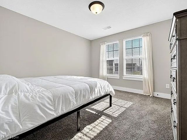 8960 Leatherleaf Drive, Columbia Station, OH 44028