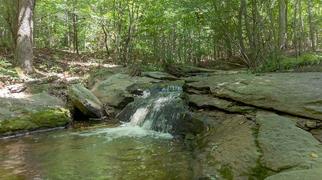 299 Scott Lane, Pelzer, SC 29669