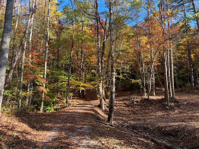1 Bartin Ridge, Murphy, NC 28906