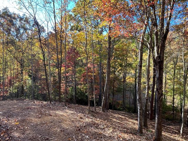 1 Bartin Ridge, Murphy, NC 28906
