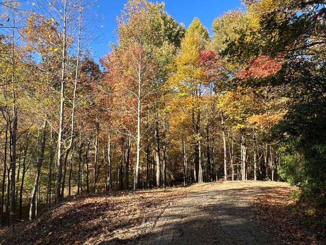 1 Bartin Ridge, Murphy, NC 28906