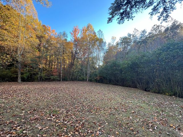 1 Bartin Ridge, Murphy, NC 28906