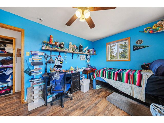 319 Springmeadow Way, Red Feather Lakes, CO 80545