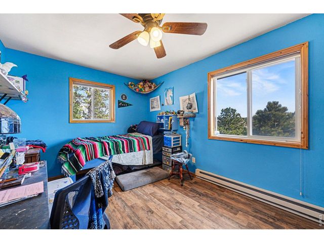 319 Springmeadow Way, Red Feather Lakes, CO 80545