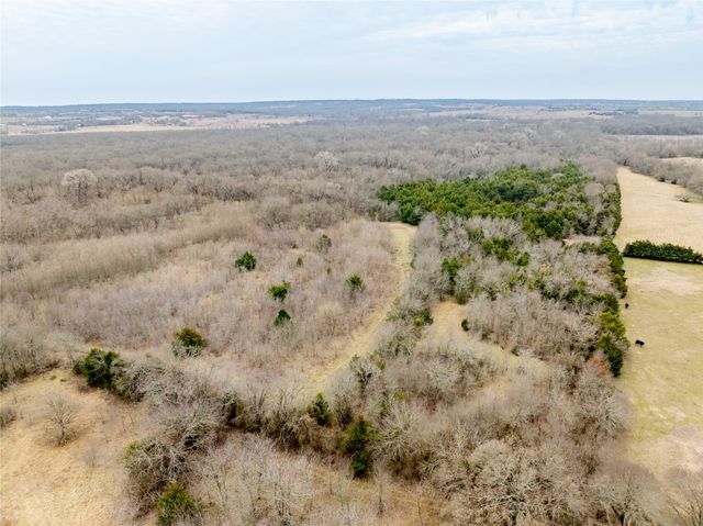 TBD County Road 618, Farmersville, TX 75442