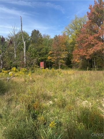 102 County Route 41a, Richland, NY 13142