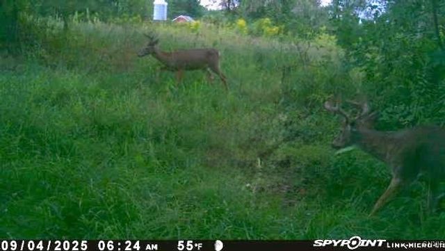 102 County Route 41a, Richland, NY 13142