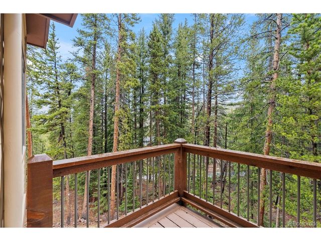101 County Road 531, Breckenridge, CO 80424