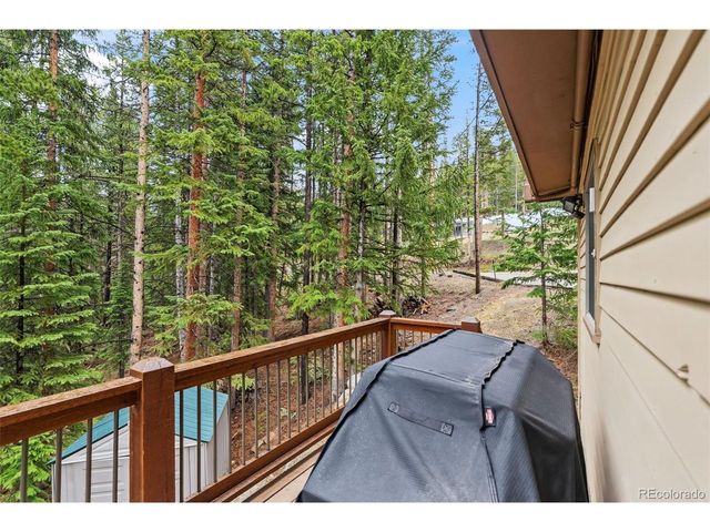 101 County Road 531, Breckenridge, CO 80424