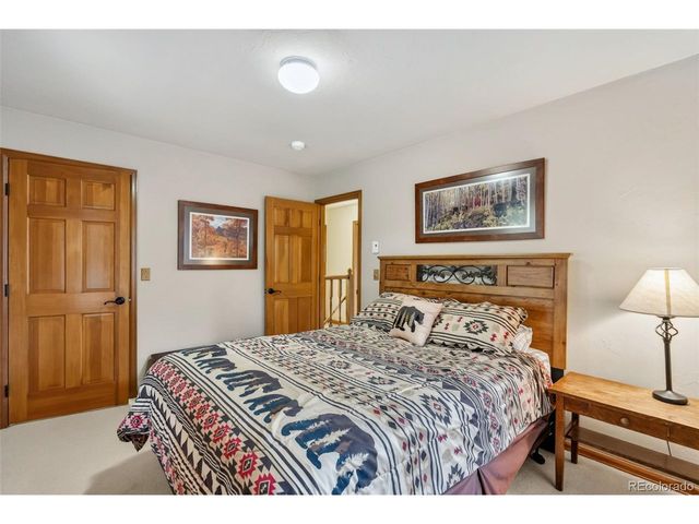 101 County Road 531, Breckenridge, CO 80424