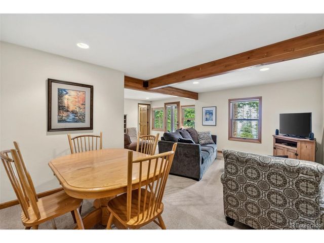 101 County Road 531, Breckenridge, CO 80424