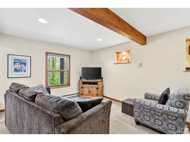 101 County Road 531, Breckenridge, CO 80424