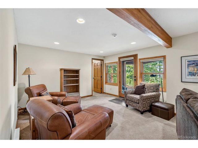 101 County Road 531, Breckenridge, CO 80424