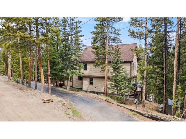 101 County Road 531, Breckenridge, CO 80424