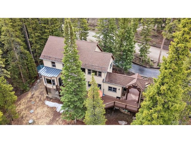 101 County Road 531, Breckenridge, CO 80424