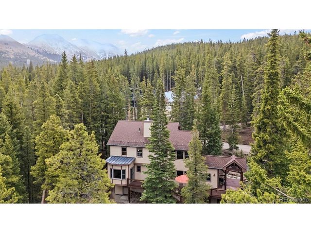 101 County Road 531, Breckenridge, CO 80424