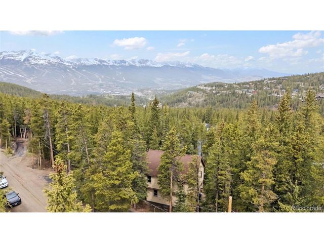101 County Road 531, Breckenridge, CO 80424
