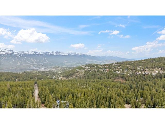 101 County Road 531, Breckenridge, CO 80424