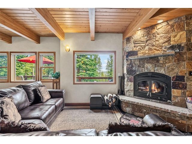 101 County Road 531, Breckenridge, CO 80424