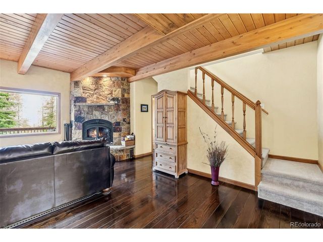 101 County Road 531, Breckenridge, CO 80424