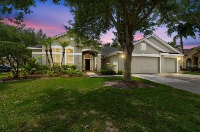 10243 SHADOW BRANCH DRIVE, Tampa, FL 33647