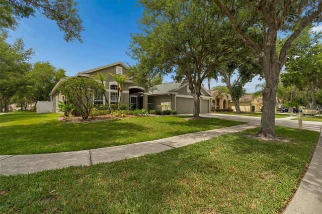 10243 SHADOW BRANCH DRIVE, Tampa, FL 33647